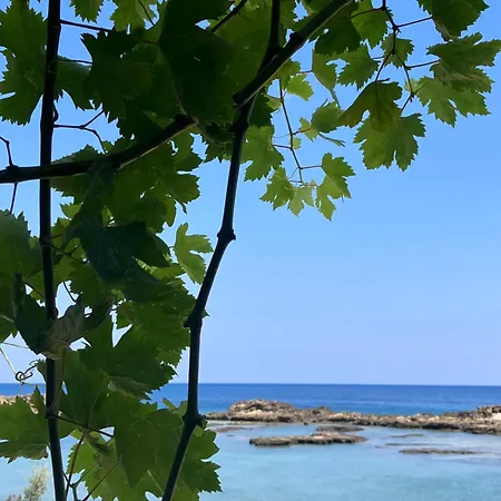 Lejlighed Best Kept Secret By The Sea Famagusta (Northern Cyprus)